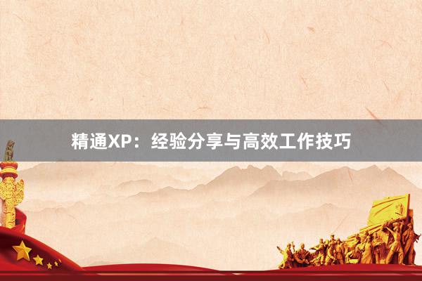 精通XP：经验分享与高效工作技巧