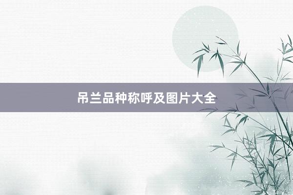 吊兰品种称呼及图片大全