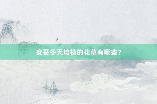安妥冬天培植的花草有哪些？