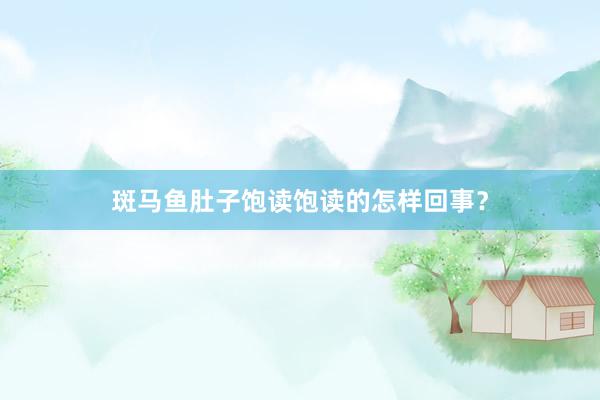 斑马鱼肚子饱读饱读的怎样回事？