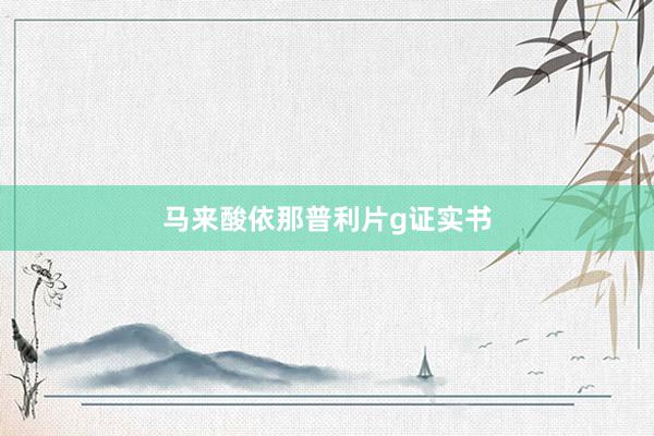 马来酸依那普利片g证实书