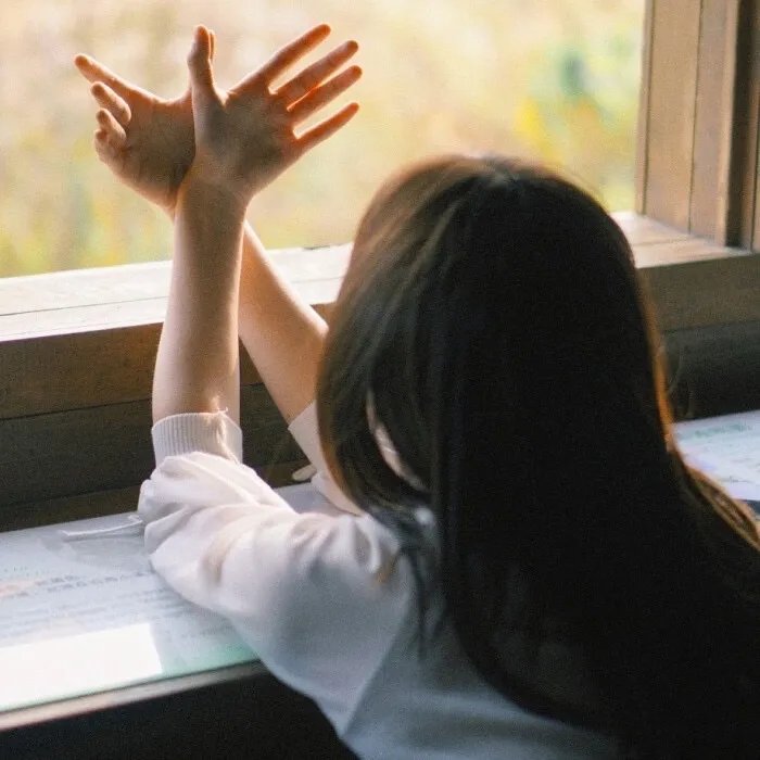 胡桃夹子和四个王国