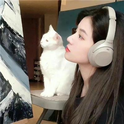 百花缭乱 武士少女 特典